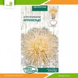 Астра игольчатая Брунхильде 0,25г (Семена Украины)