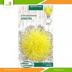 Астра игольчатая Электра 0,25г (Семена Украины)