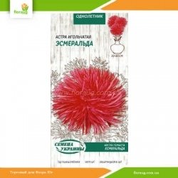 Астра игольчатая Эсмеральда 0,25г (Семена Украины)