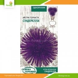 Астра игольчатая Синдерелла 0,25г (Семена Украины)