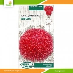 Астра художественная Шарлот 0,25г (Семена Украины)
