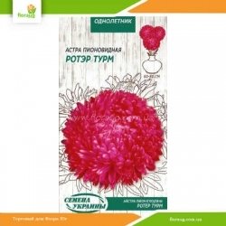 Астра пионовидная Ротэр Турм 0,25г (Семена Украины)