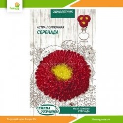 Астра Помпонная Серенада 0,25г (Семена Украины)