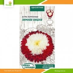 Астра помпонная Зимняя вишня 0,25г (Семена Украины)