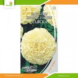 Бархатцы прямостоячие Аляска 0,5г (Семена Украины)