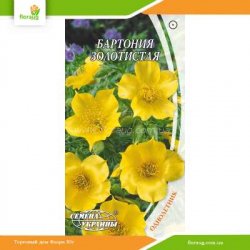 Бартония золотистая 0,2г (Семена Украины)