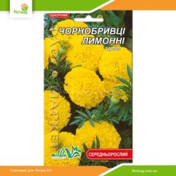 Бархатцы среднерослые Лимонные 0,3г (Флора Маркет)