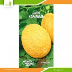Дыня Карамель 2г (Семена Украины)