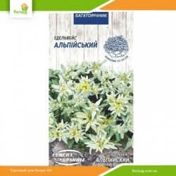 Эдельвейс Альпийский белый 0,05г (Семена Украины)