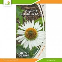 Эхинацея Белый лебедь 0,2г (Семена Украины)