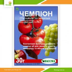 Фунгіцид Чемпіон 30г