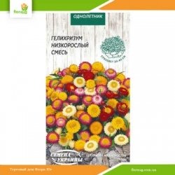 Гелихризум Низкорослый смесь 0,2г (Семена Украины)
