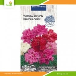 Гвоздика Перистая махровая смесь 0,2г (Семена Украины)