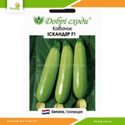 Кабачок Искандер F1 5шт (Добрі Сходи)