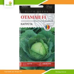 Капуста Атаман F1 0,25г (Велес)