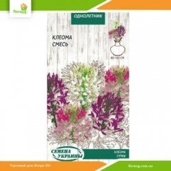 Клеома смесь 0,25г (Семена Украины)