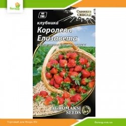 Клубника Королева Елизавета 0,01г (Агромакси)