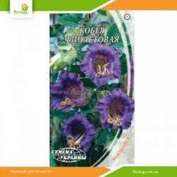 Кобея фиолетовая 0,4г (Семена Украины)