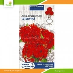 Лихнис Халцедонский Красный 0,2г (Семена Украины)