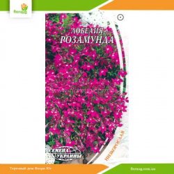 Лобелия Розамунда 0,1г (Семена Украины)