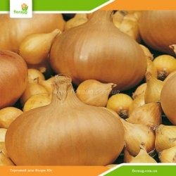 Лук севок Штутгартер Ризен (Голландия)  500г