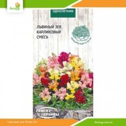Львиный зев Карликовый смесь 0,1г (Семена Украины)
