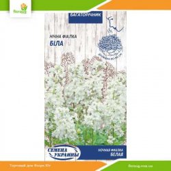 Ночная фиалка Белая 0,25г (Семена Украины)