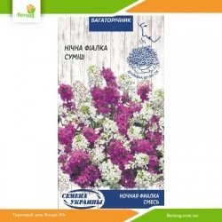 Ночная фиалка смесь 0,25г (Семена Украины)