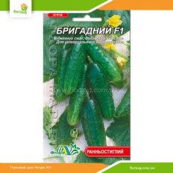 Огурец Бригадный F1 0,5г (Флора Маркет)