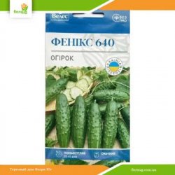 Огірок Фенікс 640 1г (Велес)