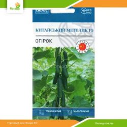 Огірок Китайський метелик F1 0,5г (Велес)