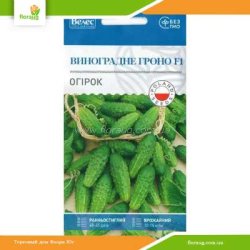 Огірок Виноградне гроно F1 0,5г (Велес)