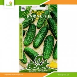 Огурец корнишон Руфус F1 0,5г (Велес)