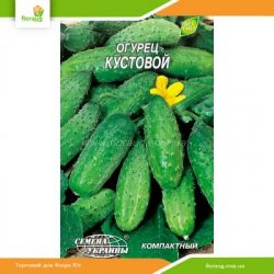 Огурец Кустовой 0,5г (Семена Украины)