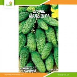 Огурец Малыш F1 (корнишон) 0,3г (Семена Украины)
