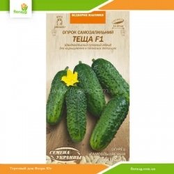 Огурец самоопыляемый Теща F1 0,25г (Семена Украины)