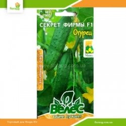 Огірок Секрет фірми F1 10шт (Велес)