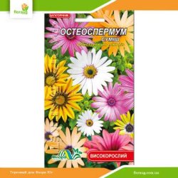 Остеоспермум смесь 0,1г (Флора Маркет)