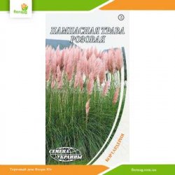 Пампасная трава розовая 0,1г (Семена Украины)