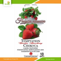 Клубника Искушение 10шт (Солнечный март)