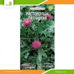 Расторопша пятнистая 3г (Семена Украины)