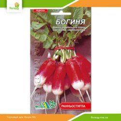 Редис Богиня 3г (Флора Маркет)