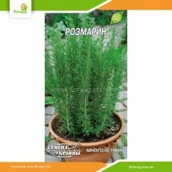 Розмарин 0,1г (Семена Украины)