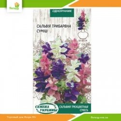 Сальвия Трехцветная смесь 0,3г (Семена Украины)