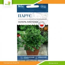 Сельдерей листовой Парус 0,5г (Велес)