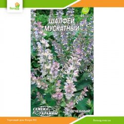 Шалфей мускатный 0,3г (Семена Украины)