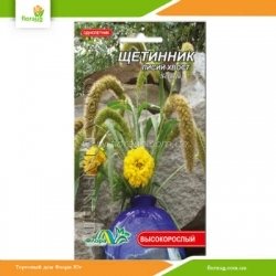 Щетинник Лисий хвост 0,1г (Флора Маркет)
