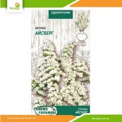 Статица Айсберг 0,2г (Семена Украины)