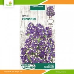 Статица Симфония 0,2г (Семена Украины)