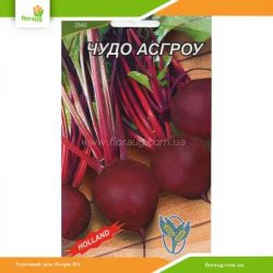 Свекла Чудо Асгроу 2г (Країна насіння)
